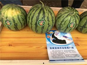 农村吃瓜群众真多,热闹非凡的乡村生活画卷