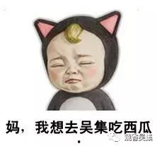 吃瓜群众吴妞妞,揭秘吃瓜群众的趣味生活