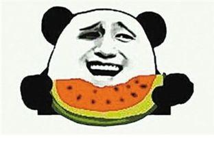 我还是做个吃瓜群众吧,做个吃瓜群众的快乐生活