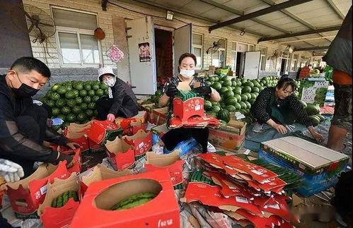 吃瓜群众提车图片高清,吃瓜群众提车瞬间,新车风采尽收眼底