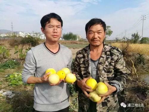 边境的吃瓜群众,边境吃瓜群众视角下的风土人情