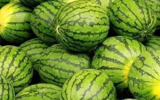 吃瓜群众才算吃上了西瓜,揭秘如何才算真正吃上西瓜