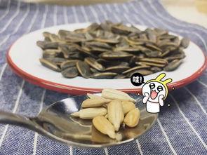 吃瓜群众的四种瓜子,吃瓜群众的夏日消暑神器