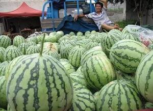 吃瓜群众都崩溃了,揭秘娱乐圈惊天大瓜